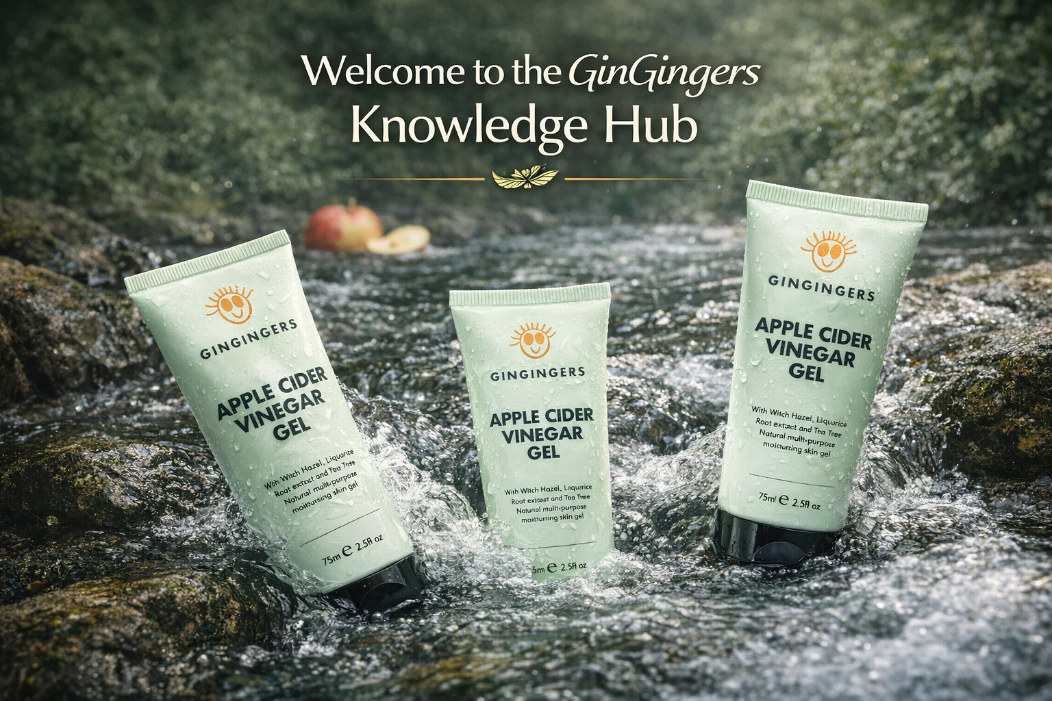 Blogs Banner - Ginginger