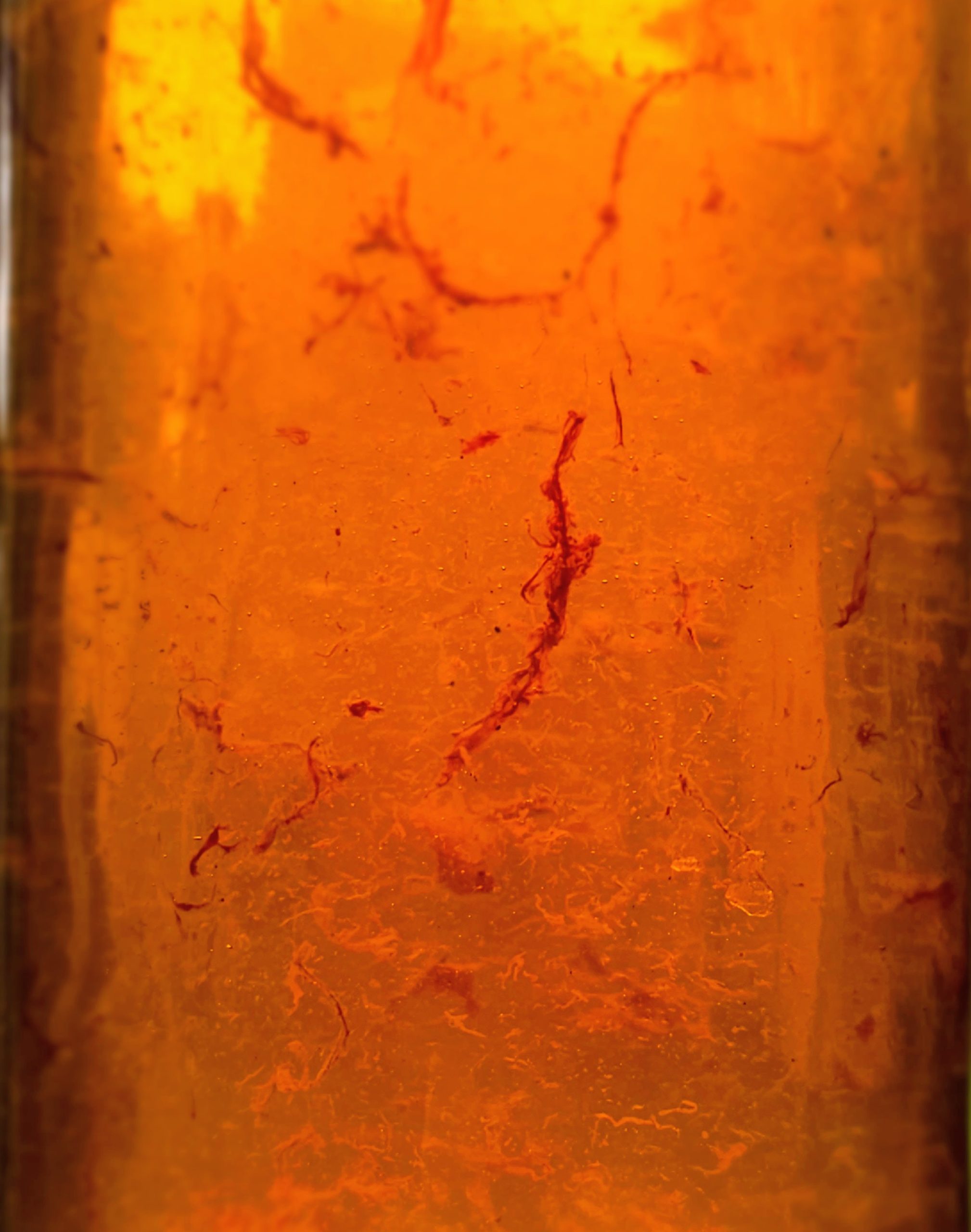 20230927_120600~2