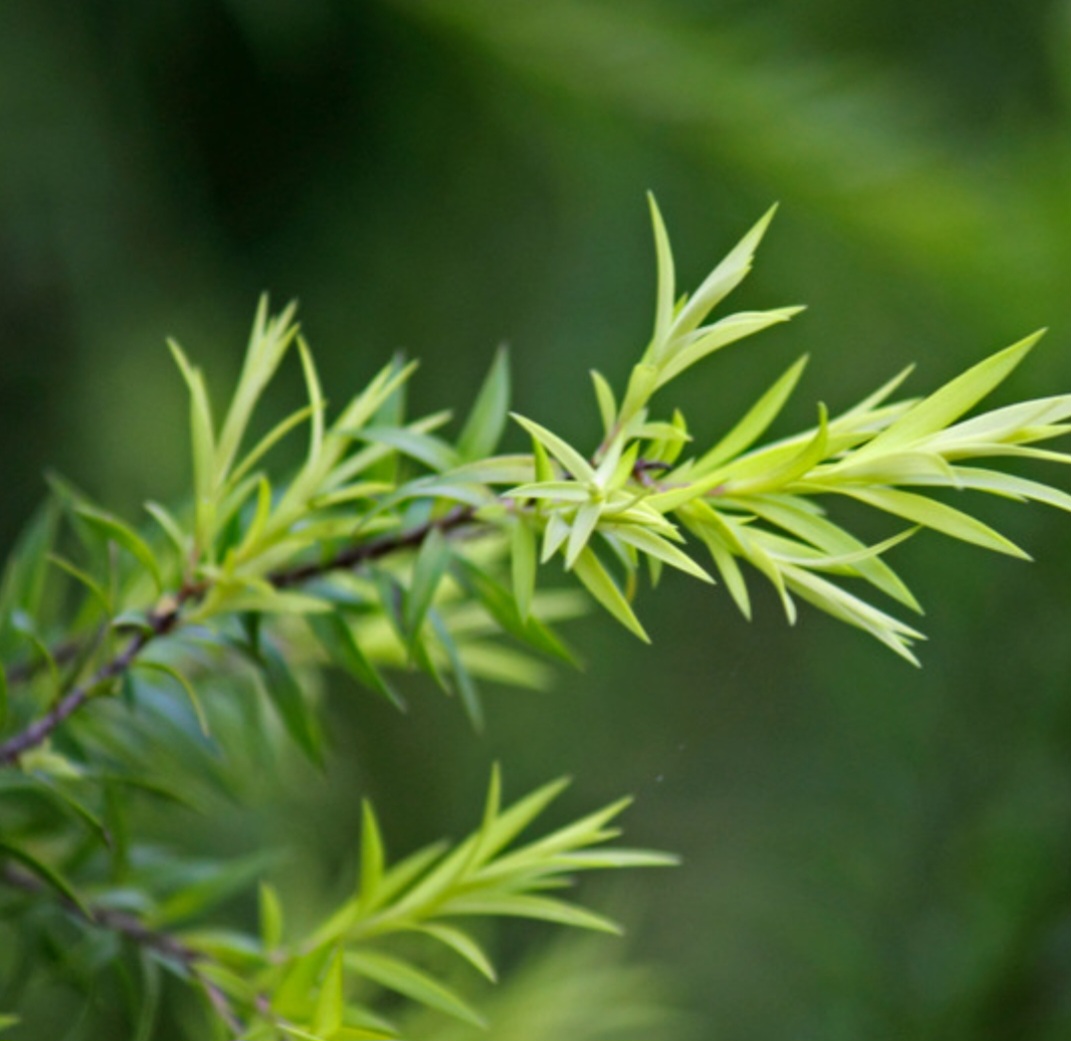 Screenshot_20240102_221814_Canva